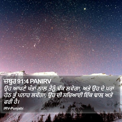 ਜ਼ਬੂਰ 91:4 PANIRV Bible Verse Image