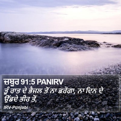 ਜ਼ਬੂਰ 91:5 PANIRV Bible Verse Image