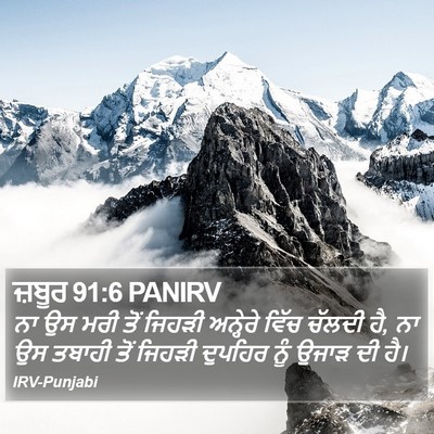 ਜ਼ਬੂਰ 91:6 PANIRV Bible Verse Image