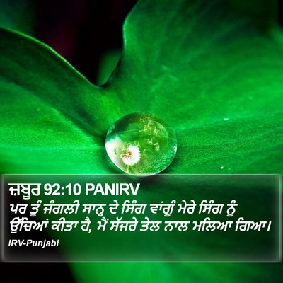 ਜ਼ਬੂਰ 92:10 PANIRV Bible Verse Image