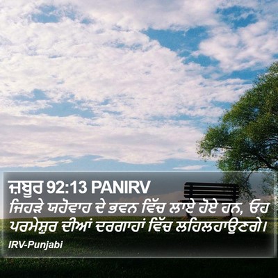 ਜ਼ਬੂਰ 92:13 PANIRV Bible Verse Image