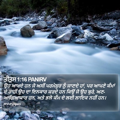 ਤੀਤੁਸ 1:16 PANIRV Bible Verse Image