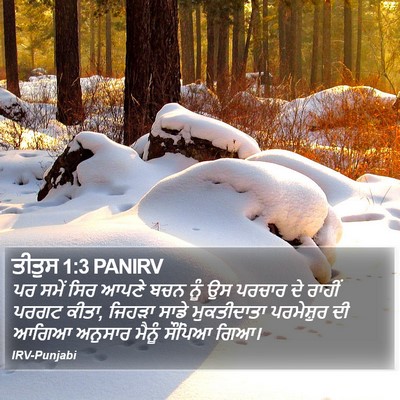 ਤੀਤੁਸ 1:3 PANIRV Bible Verse Image