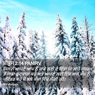 ਤੀਤੁਸ 2:14 PANIRV Bible Verse Image