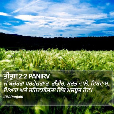 ਤੀਤੁਸ 2:2 PANIRV Bible Verse Image
