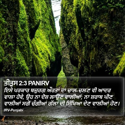 ਤੀਤੁਸ 2:3 PANIRV Bible Verse Image