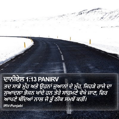 ਦਾਨੀਏਲ 1:13 PANIRV Bible Verse Image