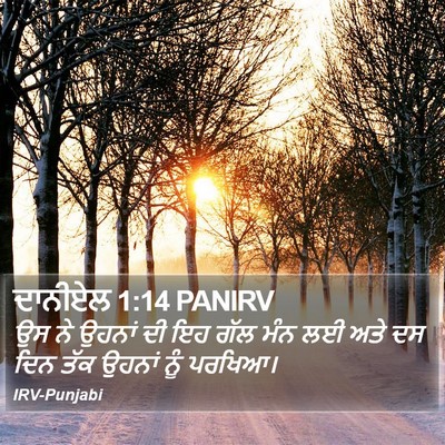 ਦਾਨੀਏਲ 1:14 PANIRV Bible Verse Image