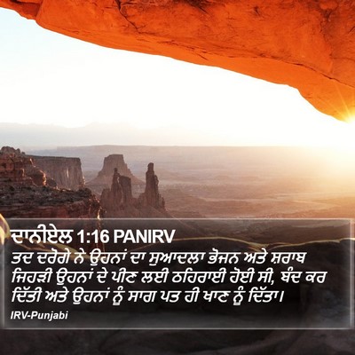 ਦਾਨੀਏਲ 1:16 PANIRV Bible Verse Image