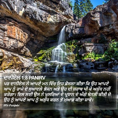 ਦਾਨੀਏਲ 1:8 PANIRV Bible Verse Image