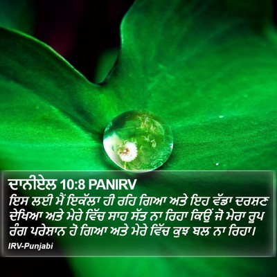 ਦਾਨੀਏਲ 10:8 PANIRV Bible Verse Image