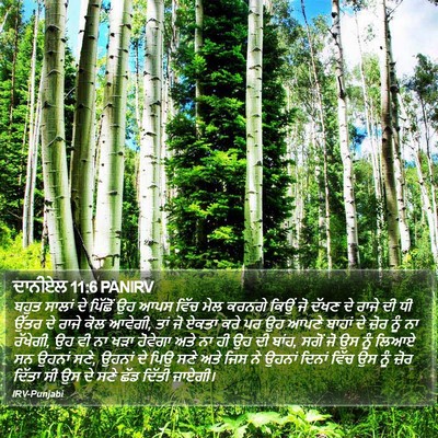 ਦਾਨੀਏਲ 11:6 PANIRV Bible Verse Image