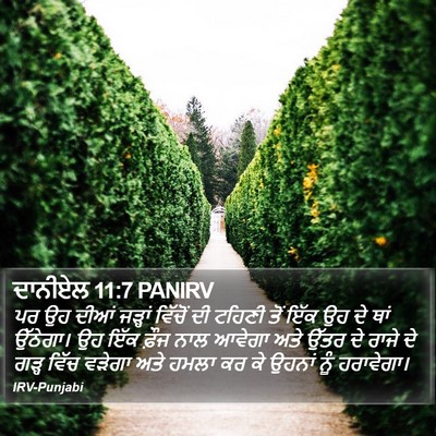 ਦਾਨੀਏਲ 11:7 PANIRV Bible Verse Image