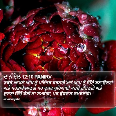 ਦਾਨੀਏਲ 12:10 PANIRV Bible Verse Image