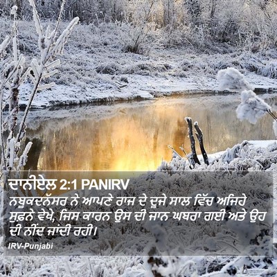 ਦਾਨੀਏਲ 2:1 PANIRV Bible Verse Image