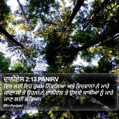 ਦਾਨੀਏਲ 2:13 PANIRV Bible Verse Image
