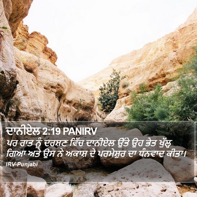 ਦਾਨੀਏਲ 2:19 PANIRV Bible Verse Image