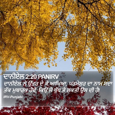 ਦਾਨੀਏਲ 2:20 PANIRV Bible Verse Image