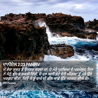 ਦਾਨੀਏਲ 2:23 PANIRV Bible Verse Image