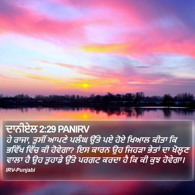 ਦਾਨੀਏਲ 2:29 PANIRV Bible Verse Image