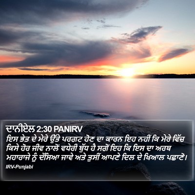 ਦਾਨੀਏਲ 2:30 PANIRV Bible Verse Image
