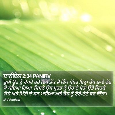 ਦਾਨੀਏਲ 2:34 PANIRV Bible Verse Image