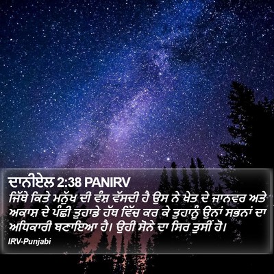 ਦਾਨੀਏਲ 2:38 PANIRV Bible Verse Image
