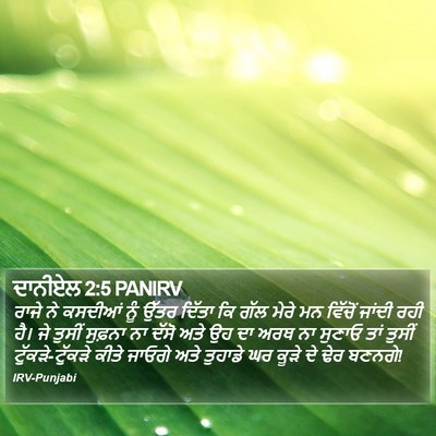 ਦਾਨੀਏਲ 2:5 PANIRV Bible Verse Image