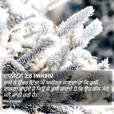 ਦਾਨੀਏਲ 2:8 PANIRV Bible Verse Image
