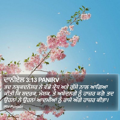 ਦਾਨੀਏਲ 3:13 PANIRV Bible Verse Image