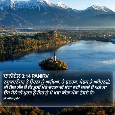 ਦਾਨੀਏਲ 3:14 PANIRV Bible Verse Image