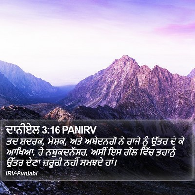 ਦਾਨੀਏਲ 3:16 PANIRV Bible Verse Image