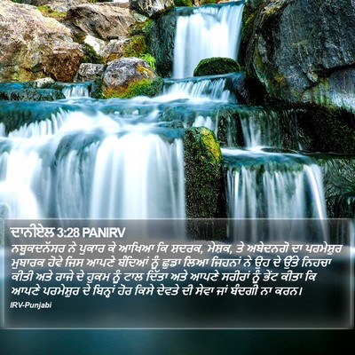 ਦਾਨੀਏਲ 3:28 PANIRV Bible Verse Image
