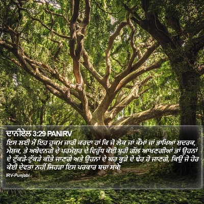 ਦਾਨੀਏਲ 3:29 PANIRV Bible Verse Image
