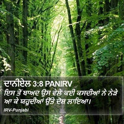 ਦਾਨੀਏਲ 3:8 PANIRV Bible Verse Image