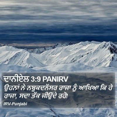 ਦਾਨੀਏਲ 3:9 PANIRV Bible Verse Image
