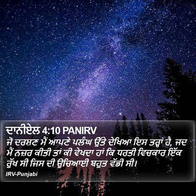 ਦਾਨੀਏਲ 4:10 PANIRV Bible Verse Image