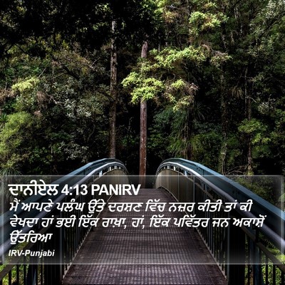 ਦਾਨੀਏਲ 4:13 PANIRV Bible Verse Image