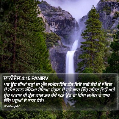 ਦਾਨੀਏਲ 4:15 PANIRV Bible Verse Image