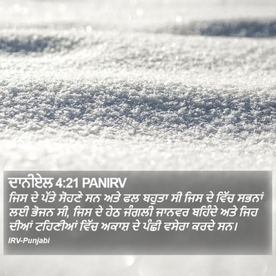 ਦਾਨੀਏਲ 4:21 PANIRV Bible Verse Image
