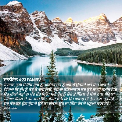 ਦਾਨੀਏਲ 4:23 PANIRV Bible Verse Image