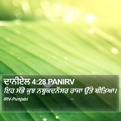 ਦਾਨੀਏਲ 4:28 PANIRV Bible Verse Image