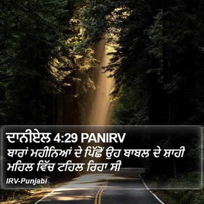 ਦਾਨੀਏਲ 4:29 PANIRV Bible Verse Image