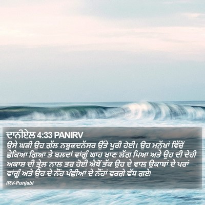 ਦਾਨੀਏਲ 4:33 PANIRV Bible Verse Image