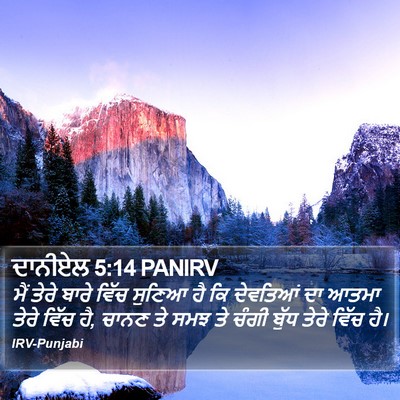 ਦਾਨੀਏਲ 5:14 PANIRV Bible Verse Image