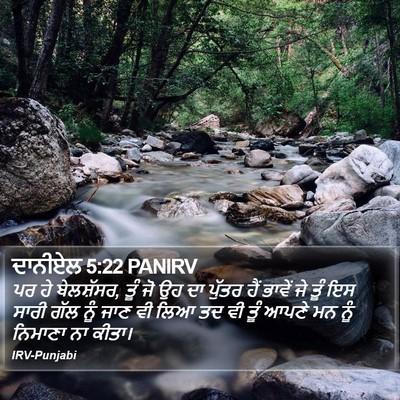 ਦਾਨੀਏਲ 5:22 PANIRV Bible Verse Image