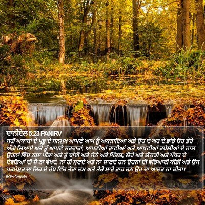 ਦਾਨੀਏਲ 5:23 PANIRV Bible Verse Image