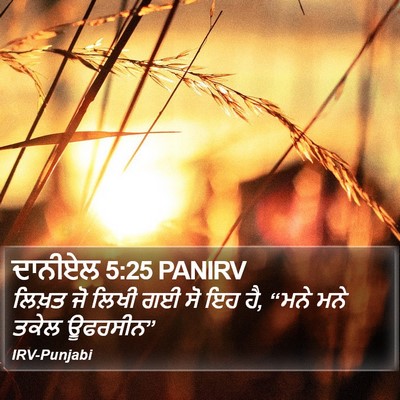 ਦਾਨੀਏਲ 5:25 PANIRV Bible Verse Image