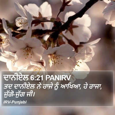 ਦਾਨੀਏਲ 6:21 PANIRV Bible Verse Image