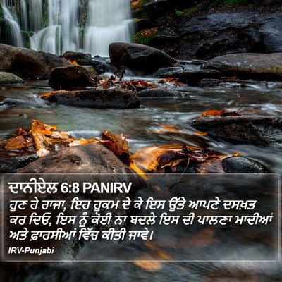 ਦਾਨੀਏਲ 6:8 PANIRV Bible Verse Image